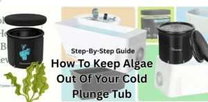 How To Keep Algae Out Of Your Cold Plunge Tub - Easy Steps